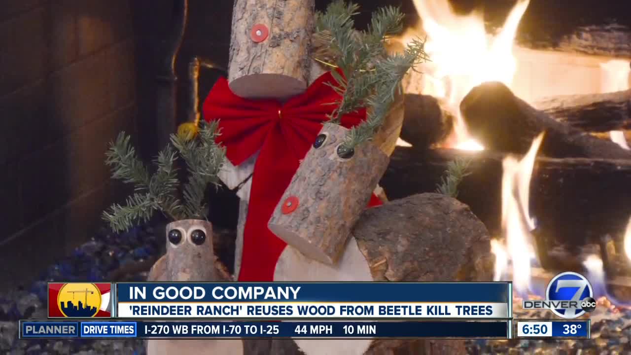 Reindeer Ranch recycles beetle kill tree into Christmas decorations