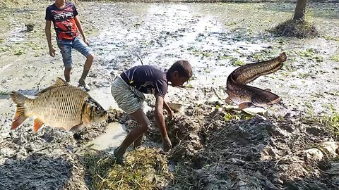 Amazing fishing video from mud || fishing || jibon330 ||