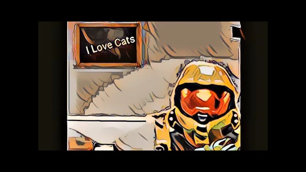 Why Cat Helmets in Halo Infinite #haloinfinite #halo