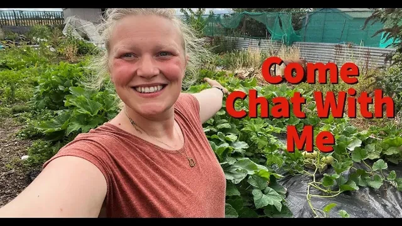 Allotment Garden Live Steam