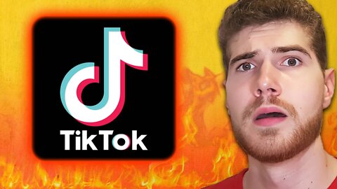 TikTok is DEFINITELY NOT spying on you!