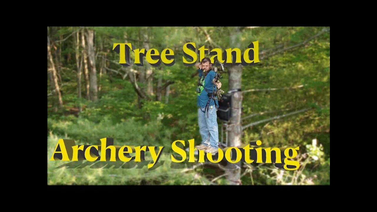 SHOOTING ARCHERY FROM TREE STANDS!!!