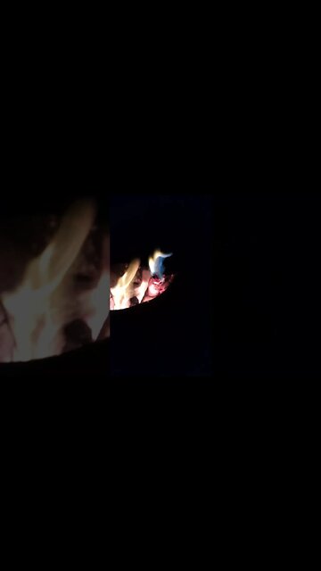 Wood Gasification in Action #shorts #bushcraft #nature