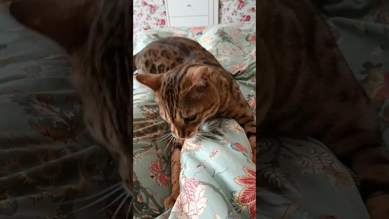 I think he's annoyed with me... 😬