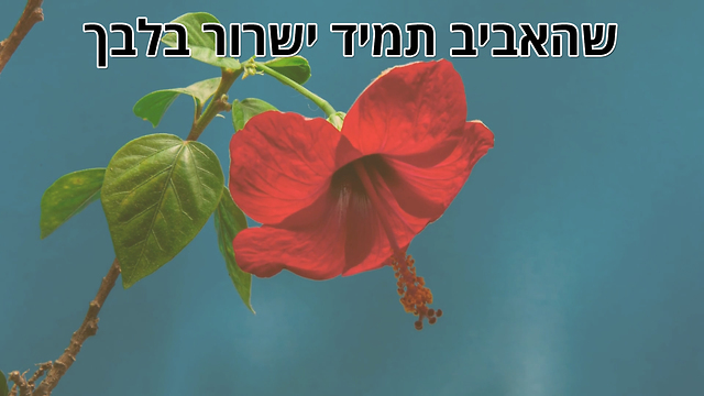 ברכת אביב ופסח שמח