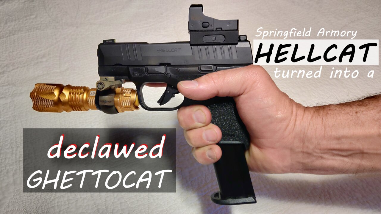 Springfield Armory Hellcat turned into a Declawed Ghettocat