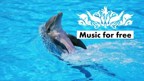 Relaxing Piano Music • Swimming with Dolphins from Carlos Carty