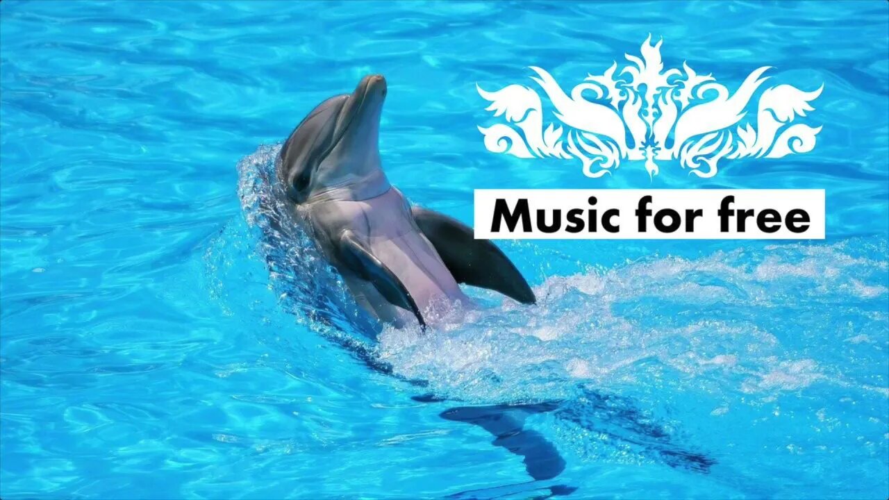 Relaxing Piano Music • Swimming with Dolphins from Carlos Carty
