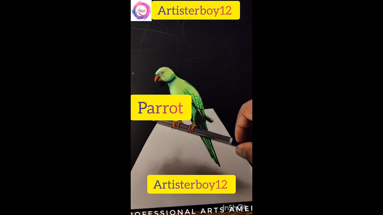 parrot drawing