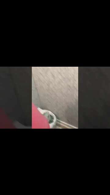 Does -50 RV antifreeze work in the 701? Or is there something better???