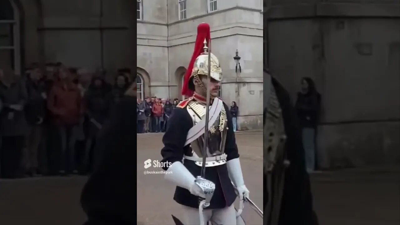 When guards and tourist go bump in the day time #horseguardsparade