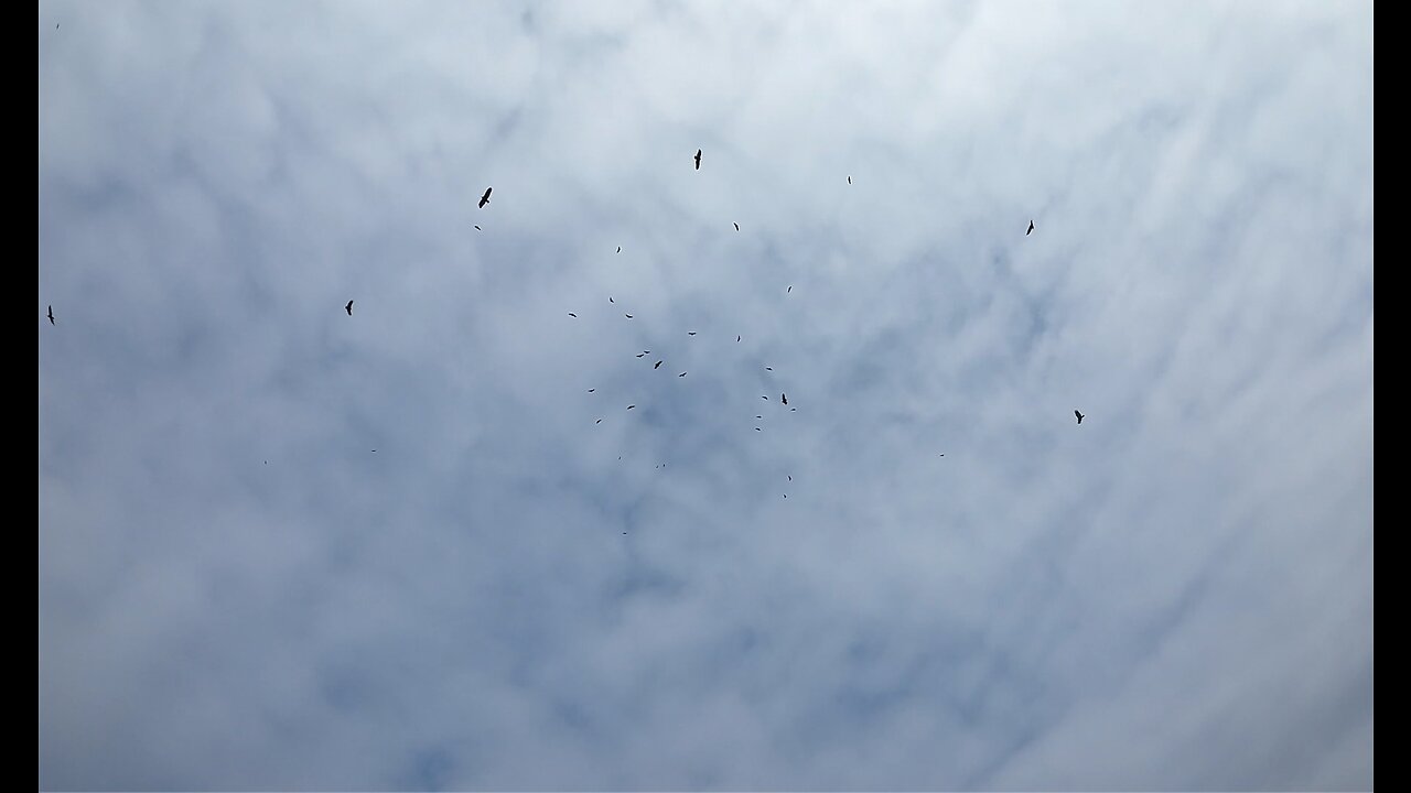 🦅 Saturday Flight With Friends! 🦅