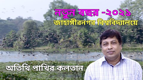 Migratory Birds Jahangirnagar University অতিথি পাখি জাহাঙ্গীরনগর বিশ্ববিদ্যালয়