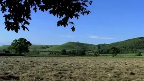 Crop circles