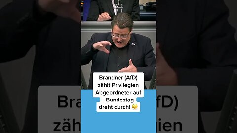 Brander (AfD) zählt Privilegien Abgeordneter auf - Bundestag dreht durch