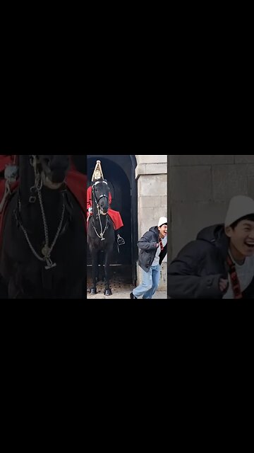 Horse bites toutist he runs #thekingsguard