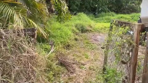 NOBODY would mow this NIGHTMARE of a yard for this KIND lady SO I DID FOR FREE!!! IN