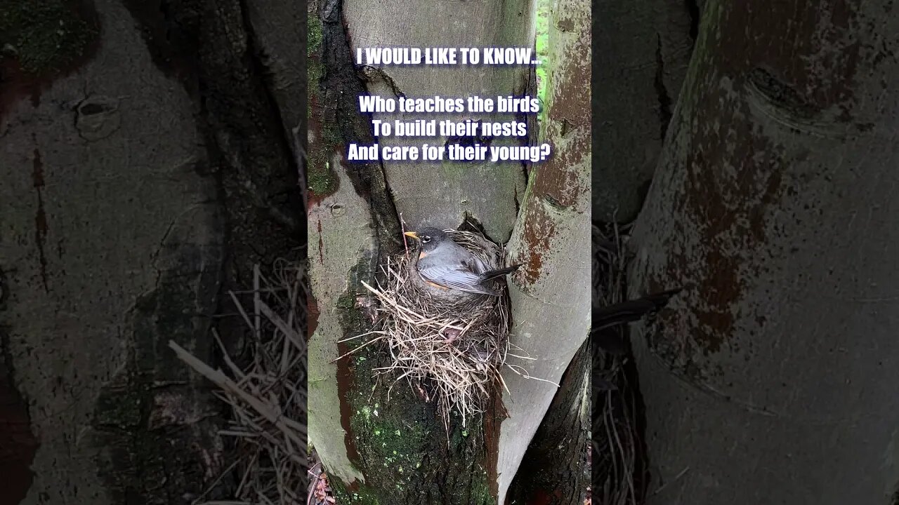 I Would Like to Know...