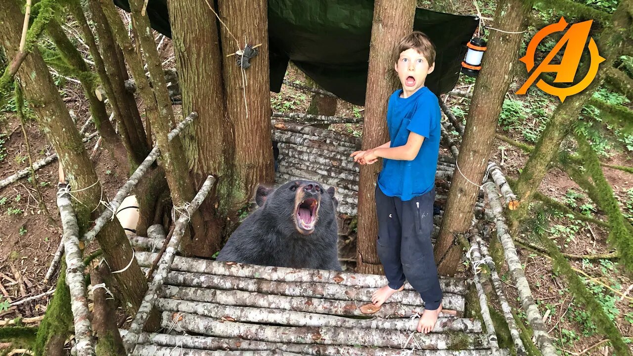 Black Bear Tries to Climb Up Our Bushcraft Survival Tree Shelter