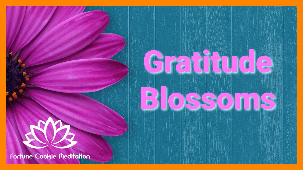 ❤️🙏🥰 [Grateful for life, Gratitude Blossoms, Happiness - Fortune Cookie Meditation Channel]