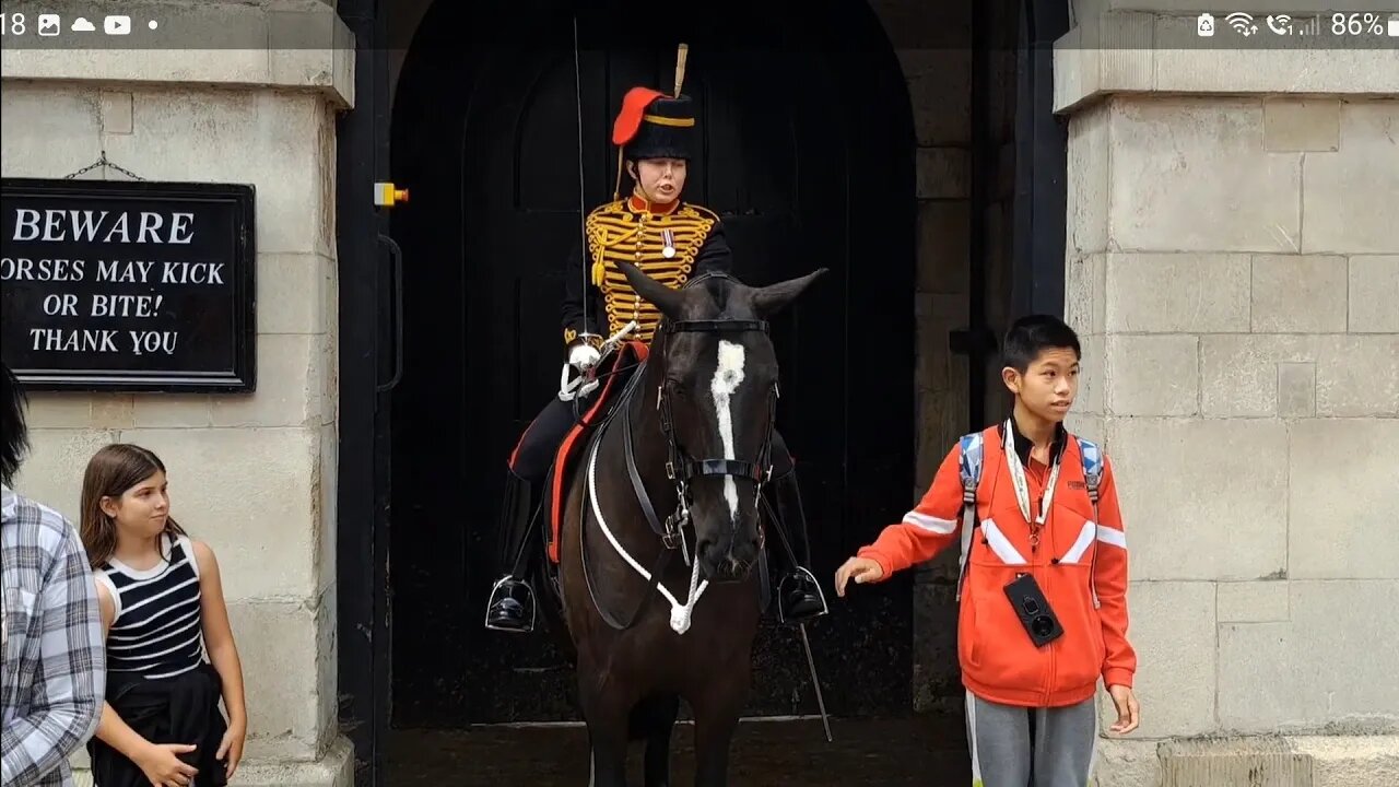 Horse nips guard shouts get of the reins #horseguardsparade