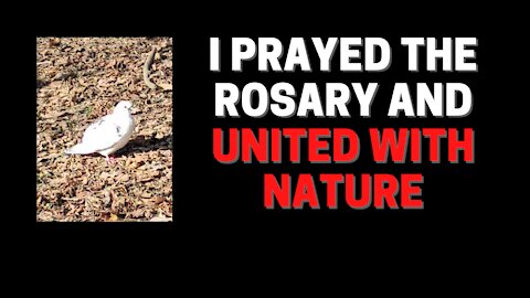 I prayed the Rosary and united with nature