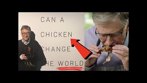 CAN A CHICKEN CHANGE THE WORLD? THEY RE MAKING SURE THAT THERE IS NO ESCAPE FOR ANY OF US!