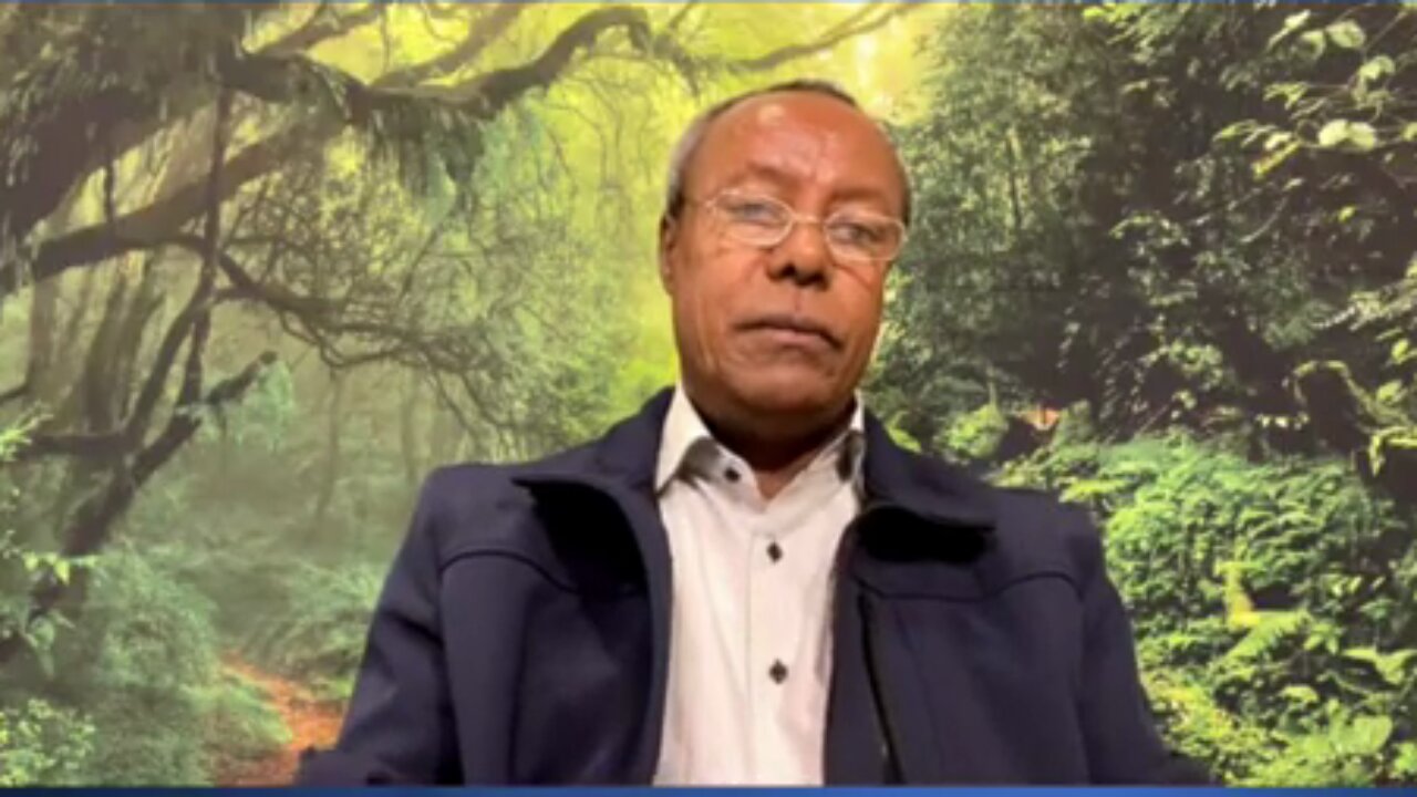 አሁን ያለው ብልጽግና የአባዱላ ገመዳ ሌጋሲ አስፈጻሚ ቡድን ነው - አያሌው መንገሻ
