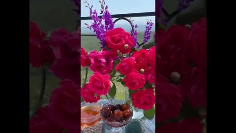 Rest in beautiful nature