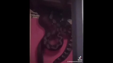 Ay dios mio!