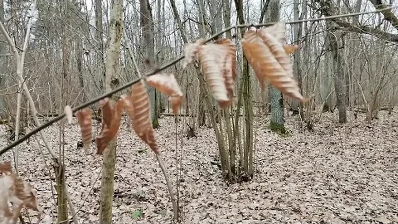 przybliżam się do wieczności