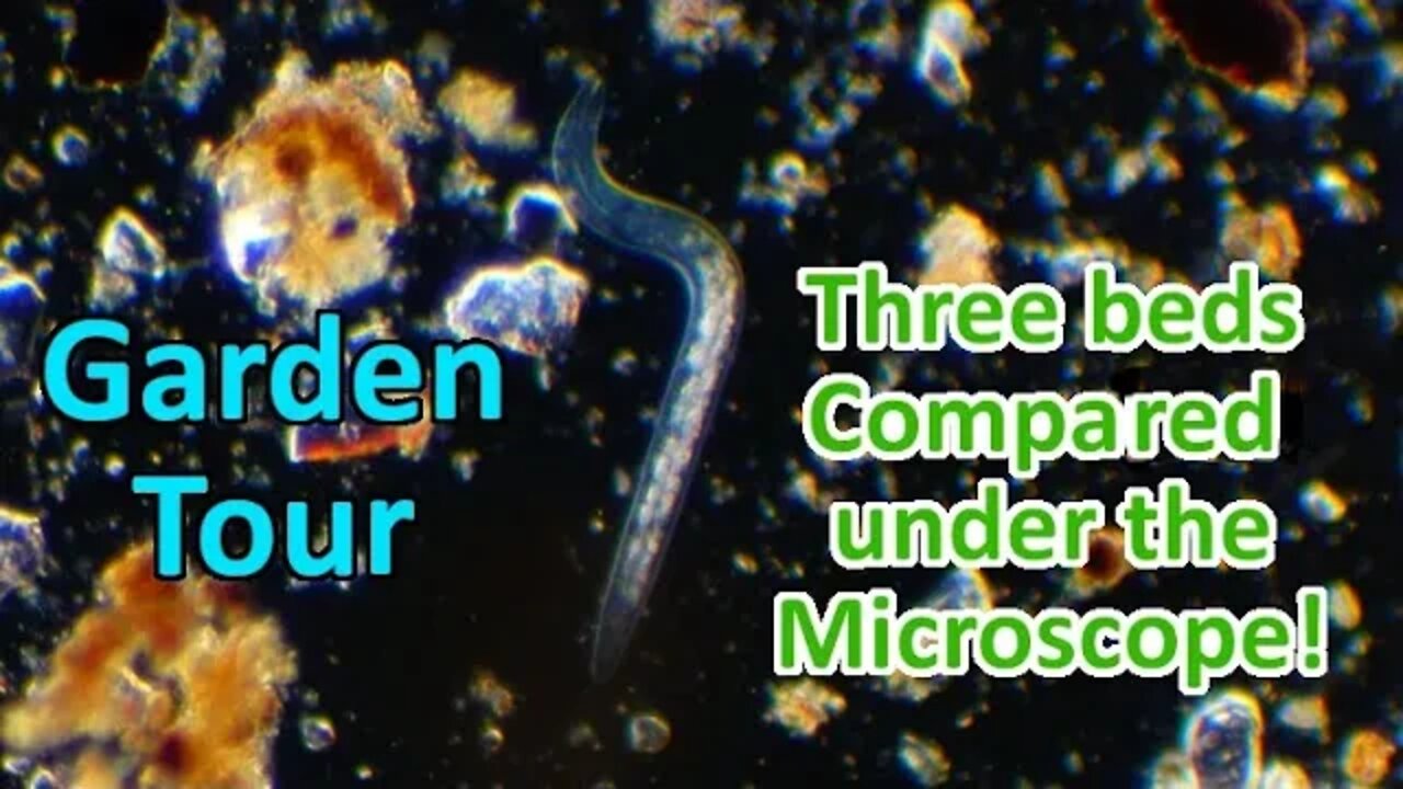 Journey into the Soil, end of August Garden Tour comparing 3 beds under the Microscope!