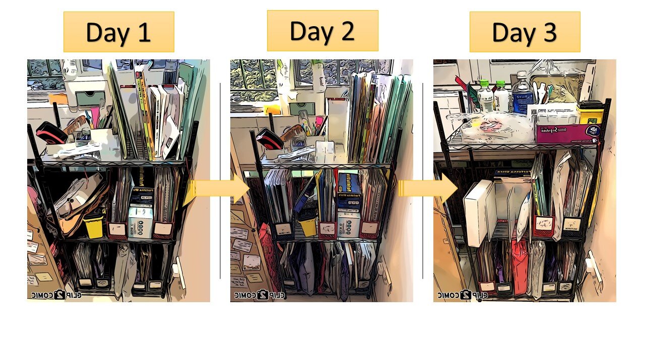 Let's tidy up our bookshelf 和你執書架2_Lite version精簡版|Declutter斷捨離|Minimalism極簡|Storage收納 | Bunbun 饅包