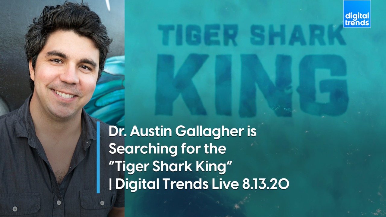 Dr. Austin Gallagher Searches for the 'Tiger Shark King' | Digital Trends Live 8.13.20