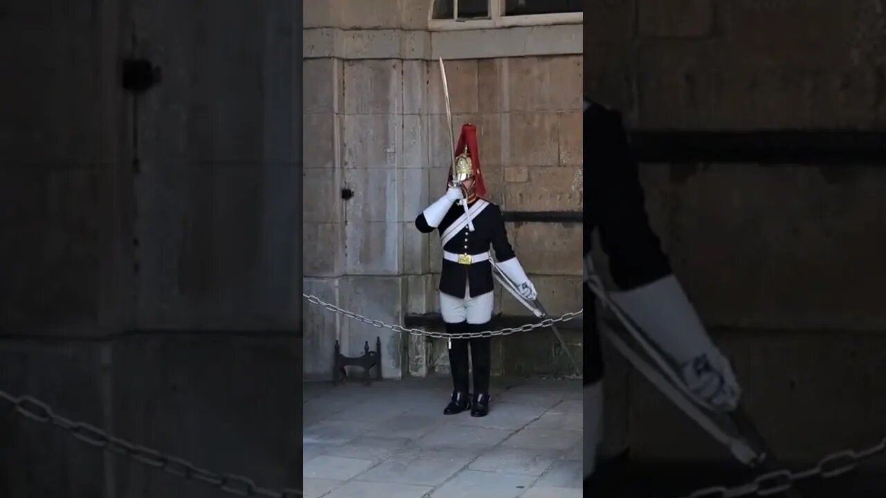 He takes out his sword #horseguardsparade