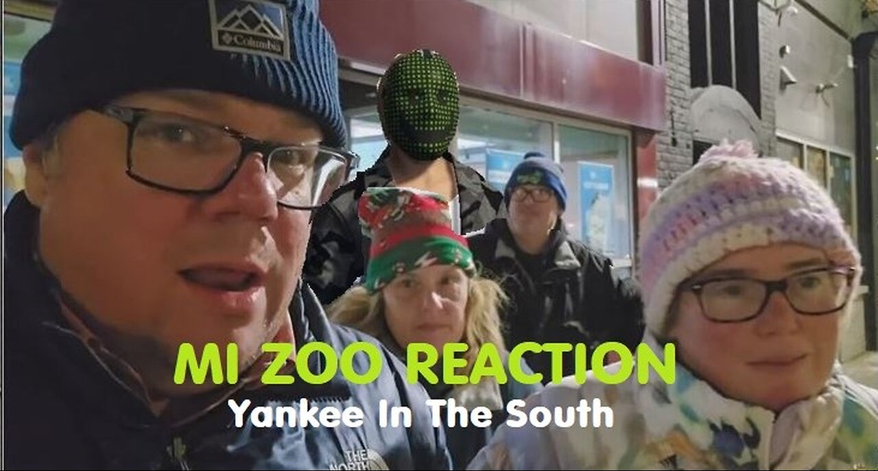 Yankee In The South Reaction - Detroit Zoo Christmas Time In Michigan