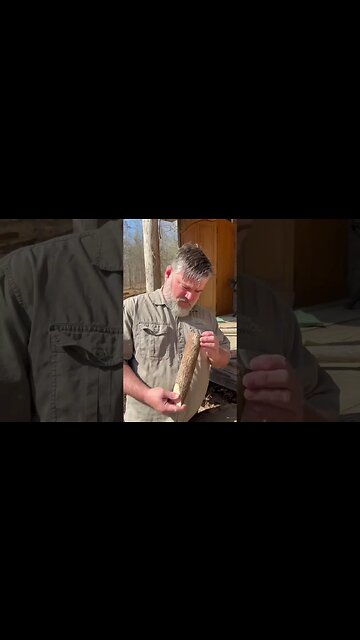 Bushcraft Wedge. #shorts #bushcraft #campfire #camping #camp #build