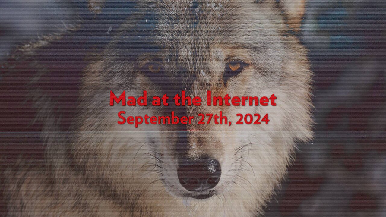 Damnit, Moon Moon (September 27th, 2024) - Mad at the Internet