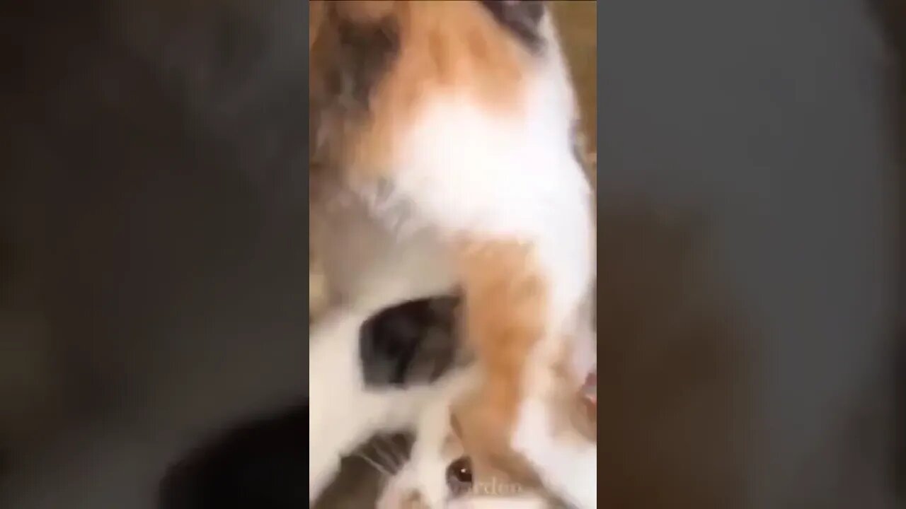 How to Start your day with Positive Energy , # short