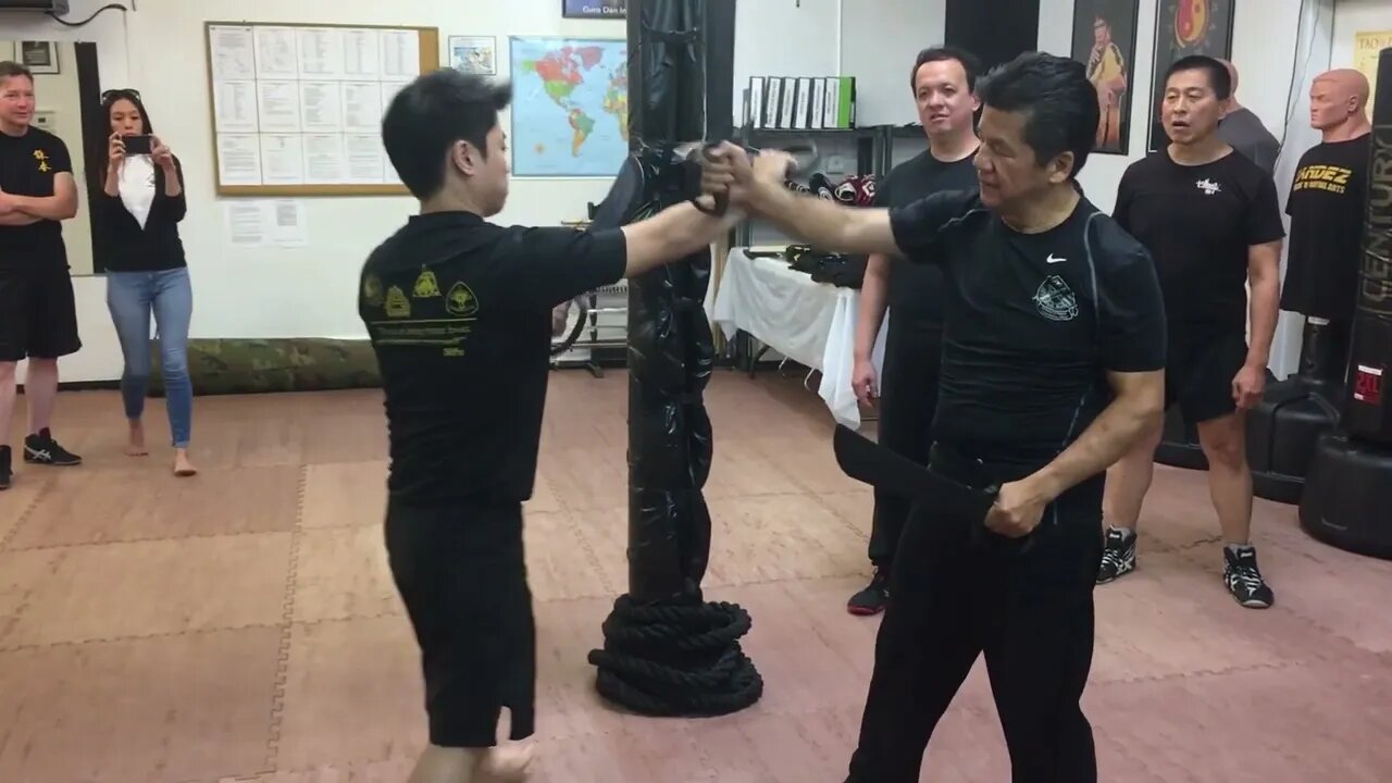 Wing Chun - Baat Jaam Do / Butterfly Swords Flow and Application