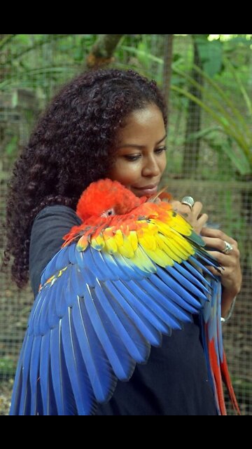 Unboxing for new budgies 🥰