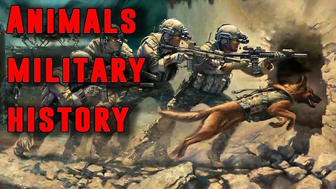 Top Military Animals in History From Cats to Elephants