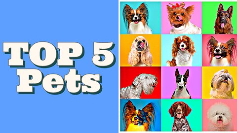 Top 5 Pets