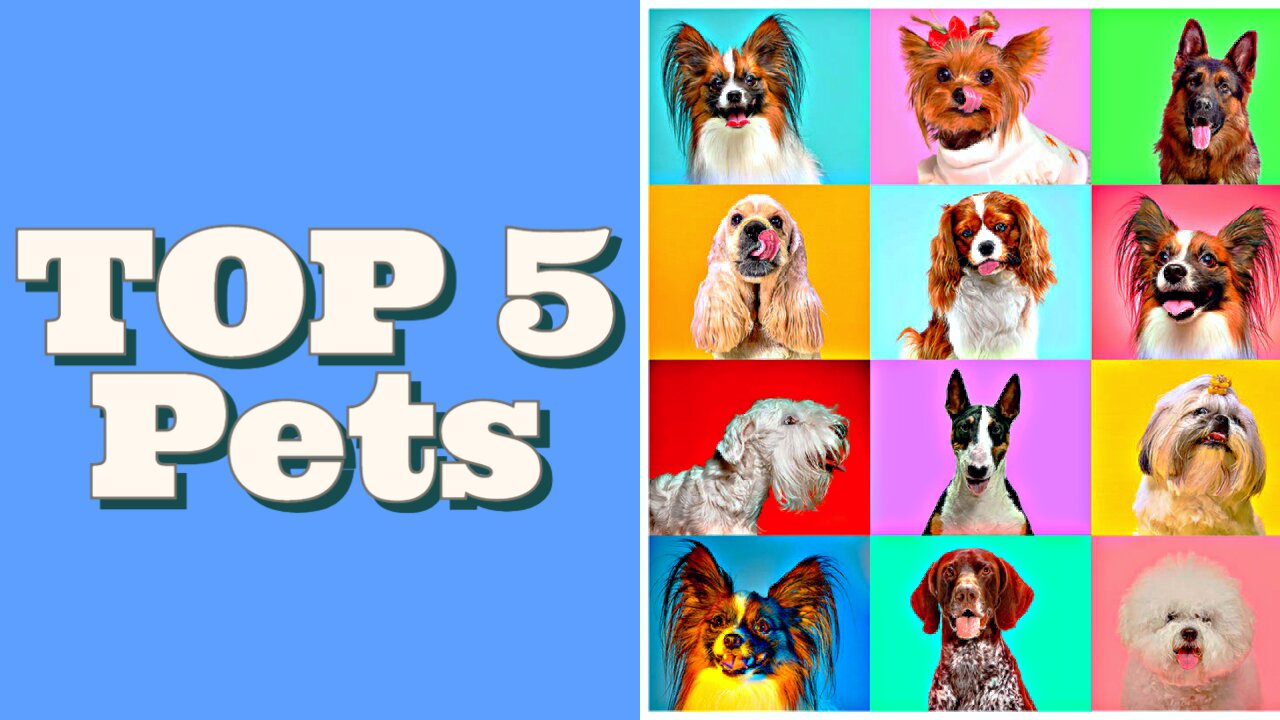 Top 5 Pets