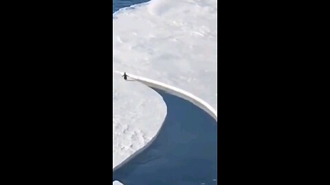 Penguin Is A Greek God