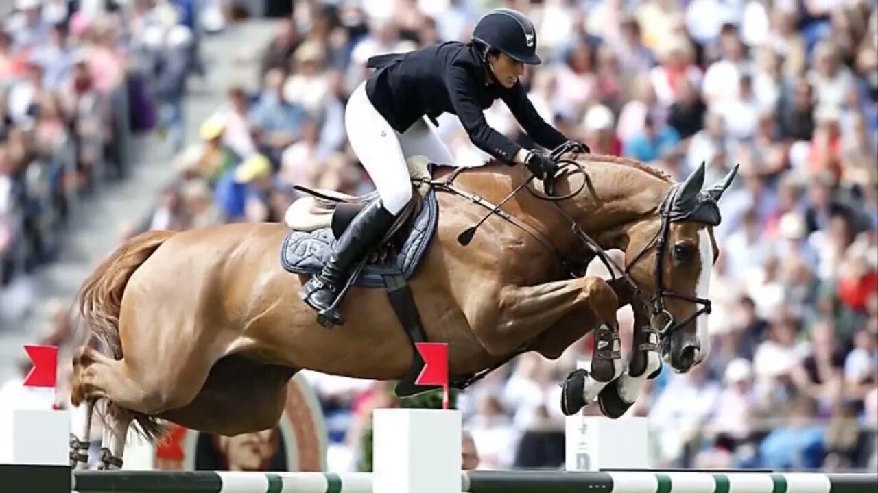 10 Most Expensive Horses Ever Sold In The World