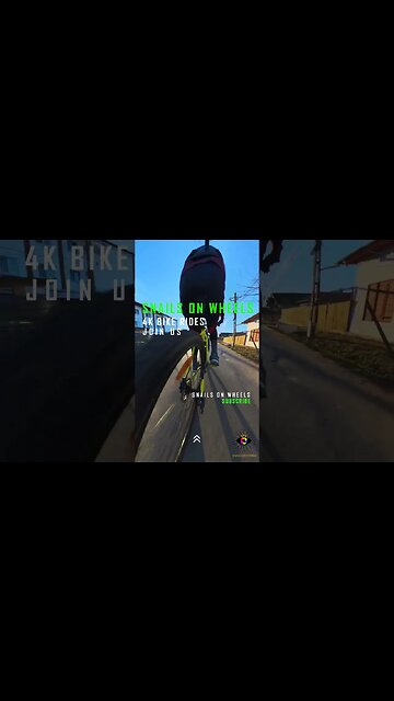 COMANA Forest winter ride, Giurgiu | #shorts #short | 🇷🇴