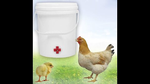 20 pcs horizontal side mount chicken waterer 😍 Cool Gadgets