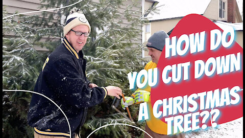 Christmas Tree Cutting Video - Cutting Down a Christmas Tree with My Dad