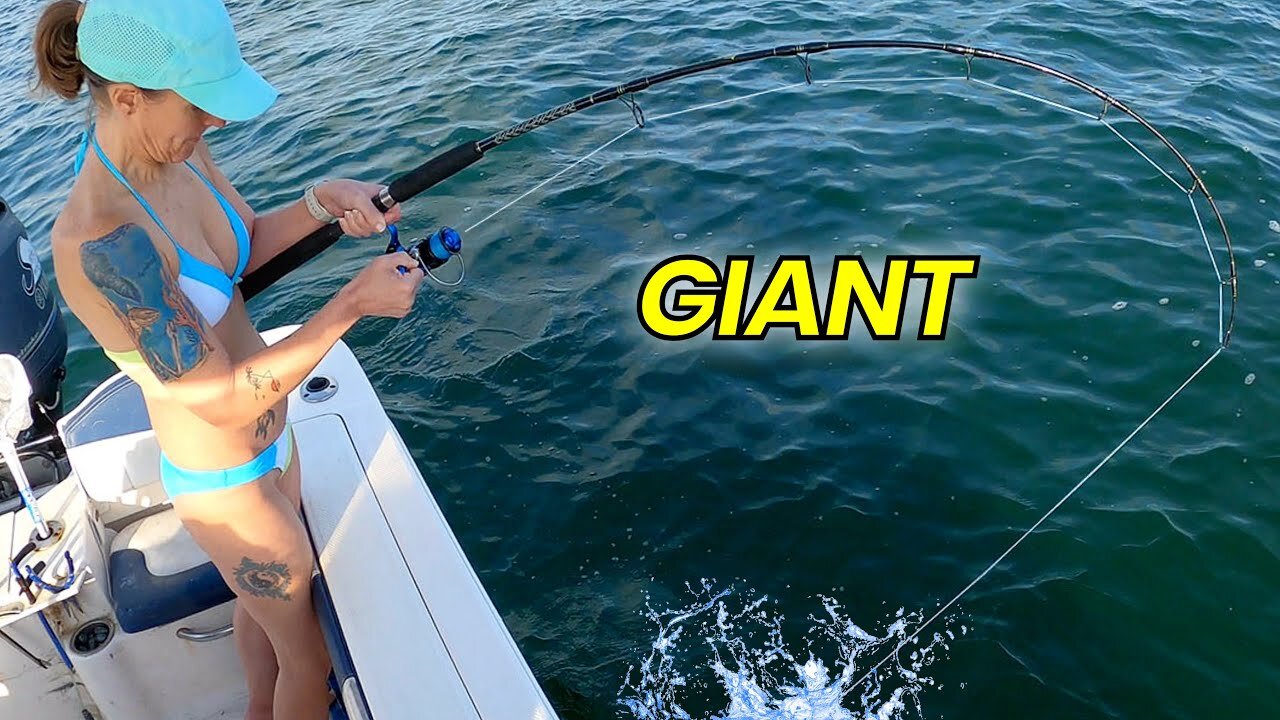 Girl catches MONSTER fish at the Jetty!